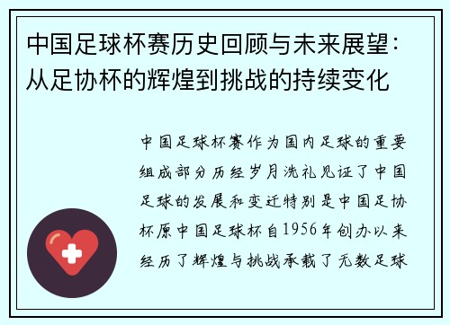 中国足球杯赛历史回顾与未来展望：从足协杯的辉煌到挑战的持续变化