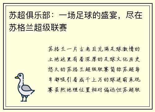 苏超俱乐部：一场足球的盛宴，尽在苏格兰超级联赛